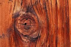 Drvna industrija RH nastavlja obarati izvozne rekorde